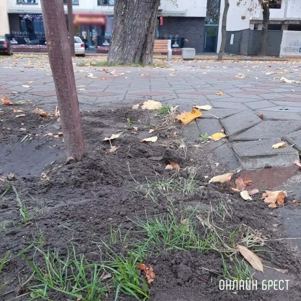 Читатель: Утренняя прогулка с собакой сподвигла меня на этот пост :)
Читатель: Утренняя прогулка с собакой сподвигла меня на этот пост :)