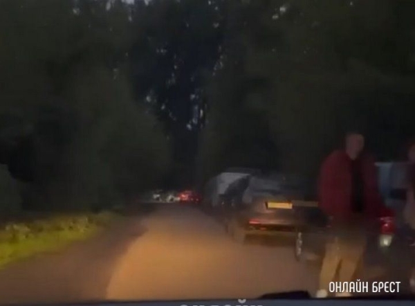 
                Читательница: Очередь в Польшу из Бреста
            