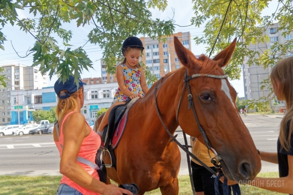 Фестиваль профессий «Единорог» в Бресте. Фоторепортаж