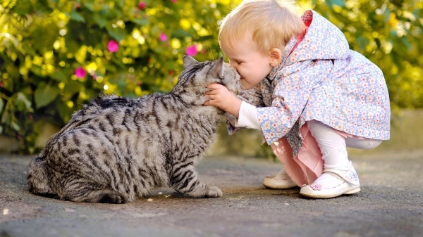 Дети и домашние животные. От первого знакомства до дружбы на всю жизнь