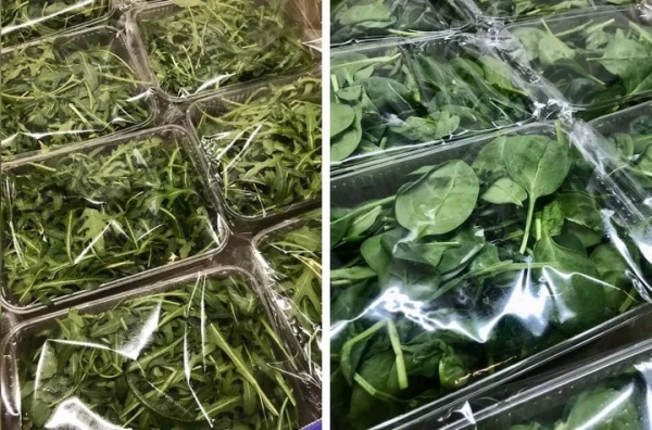 Через «Козловичи» везли 20 тонн зелени по недействительным документам