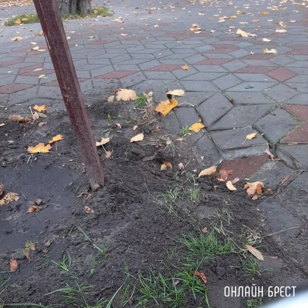 Читатель: Утренняя прогулка с собакой сподвигла меня на этот пост :)
Читатель: Утренняя прогулка с собакой сподвигла меня на этот пост :)