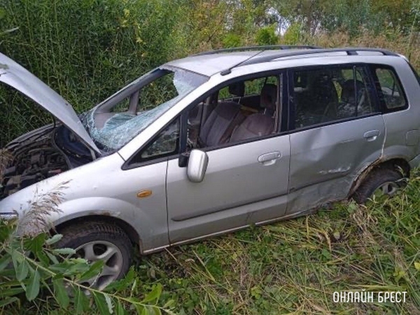 
                Читатель: Напротив ковельской заправки в Бресте
            