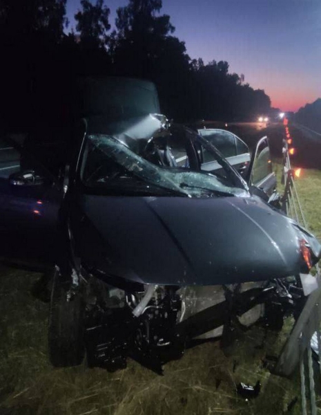 Лось спровоцировал смертельное ДТП на трассе М1 Брест – Минск – граница РФ