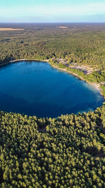 
                Белое озеро в Лунинецком районе. Фотографии сделаны сегодня
            