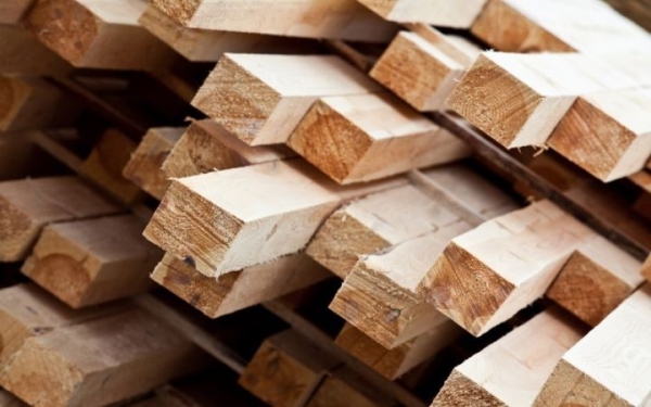 Лукашенко поменял правила реализации древесины. Теперь физлица смогут купить ее прямо в лесхозах