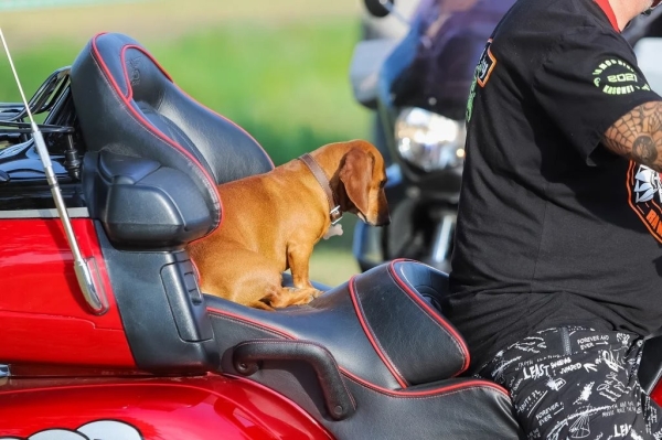 Смотрите, как прошёл первый день BIKE FEST ZHABINKA