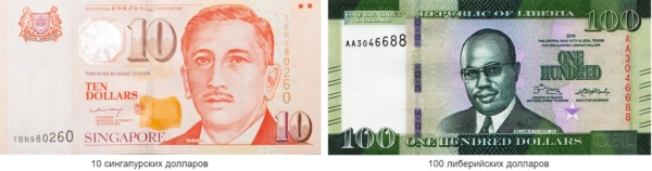 Как выглядят доллары разных стран мира – собрали самые красивые и необычные банкноты