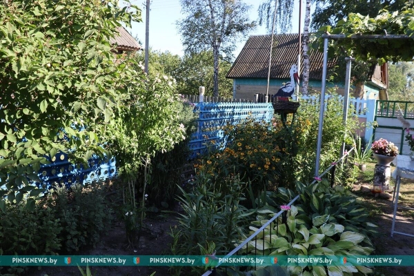Смотрите, какой уют и красоту создают жители деревни Молодельчицы на своих подворьях (Брестская область)