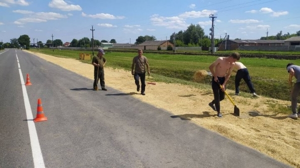 4 тонны зерна высыпалось на проезжую часть. За рулём грузовика находился житель Брестского района 4 тонны зерна высыпалось на проезжую часть. За рулём грузовика находился житель Брестского района