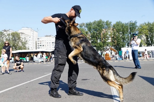 Фестиваль профессий «Единорог» в Бресте. Фоторепортаж