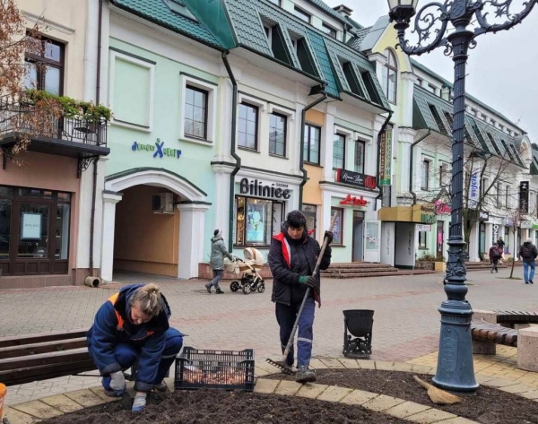 В Бресте специалисты «Коммунальника» высадят 35 тысяч тюльпанов различных сортов