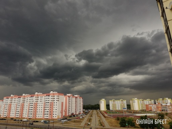 На ближайшие сутки по Бресту и области объявлен оранжевый уровень из-за ветра