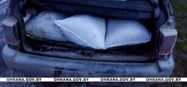 Сливают дизтопливо, воруют моторное масло и фуражную муку. Работники АПК Брестчины попадаются на хищениях