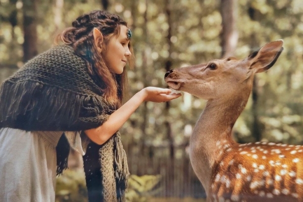 Эльфы и олени — кого только не увидишь в Кобринском лесхозе