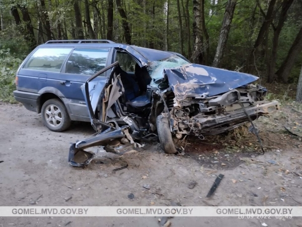 В Беларуси произошло смертельное ДТП из-за выскочившего на дорогу животного. Водитель бросила пассажирку и пошла домой
