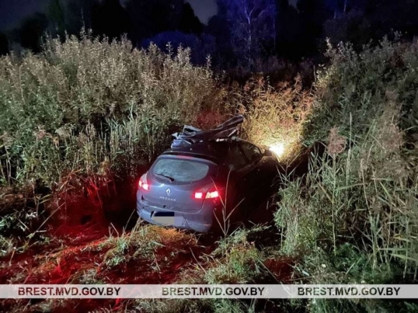 В Брестской области на трассе М1 водитель «Рено» врезался в лося