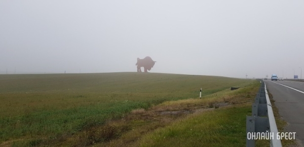 Ремонт гигантской скульптуры зубра у трассы М1 закончат к середине декабря