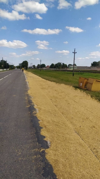 4 тонны зерна высыпалось на проезжую часть. За рулём грузовика находился житель Брестского района 4 тонны зерна высыпалось на проезжую часть. За рулём грузовика находился житель Брестского района