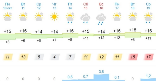 Синоптики предупредили о заморозках в Беларуси. Смотрим погоду в Бресте