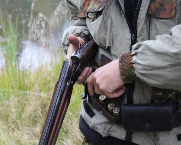 В Лунинецком районе охотник «перепутал» зайца с дикой козой