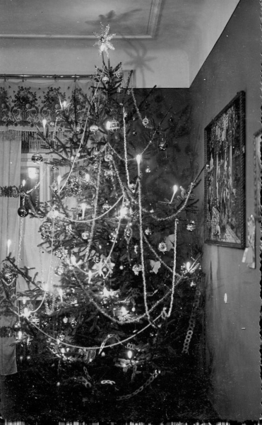 Старый Брест. Дом Пантелевича и его обитатели